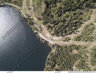 background nature forest High Tatras 0004